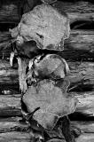 Log Cabin Detail