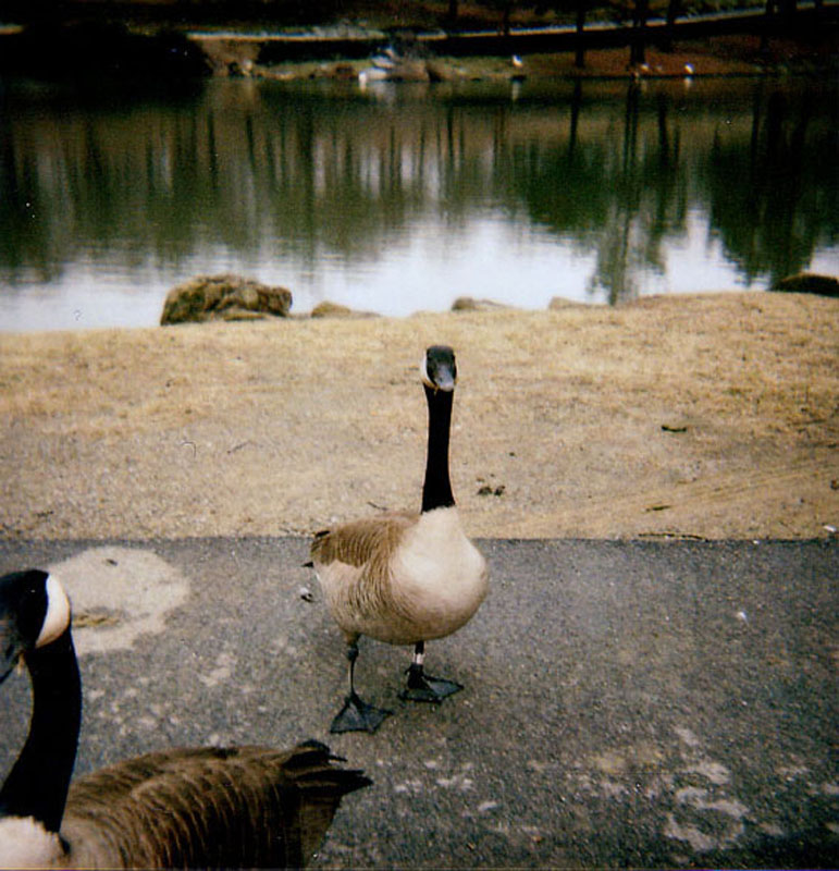 Feb 7 2005