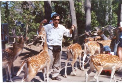 LA TOAN VINH IN SAFARI PARK