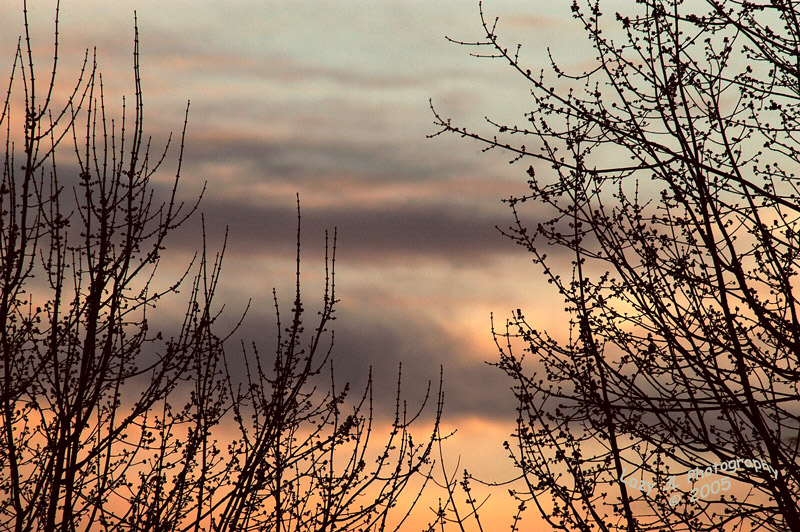 Just a Sunset<br>Feb 18