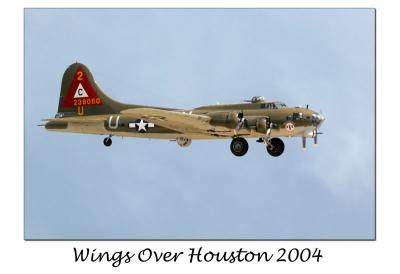Wings over Houston Poster