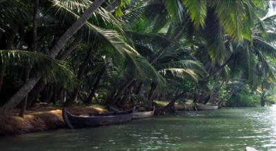 bwIN15_Coconuttrees+boats.jpg