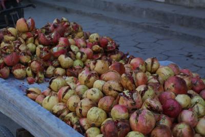 Pomegranates - Provincial Emblem