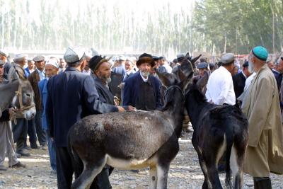 Donkey Market