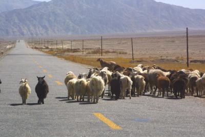 On the Road to Tashkurgan