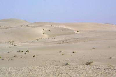 Taklamakan Desert