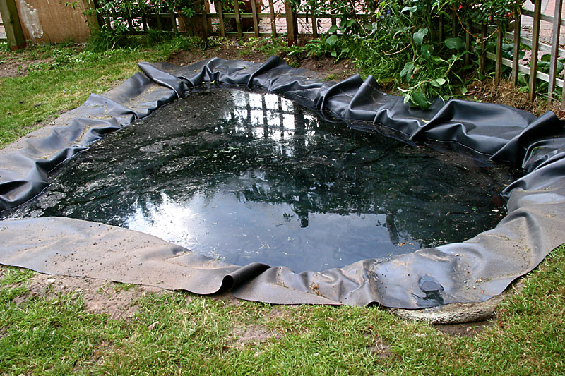 pond