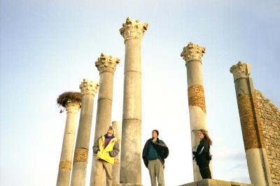 Roman ruins at Voulibilis