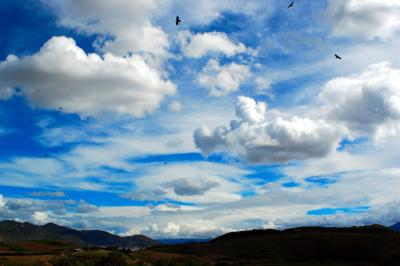 u46/littlebabylon/medium/33824523.DSC_2083.jpg