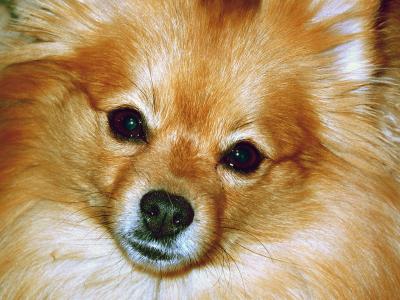 Lacey_1778.jpg