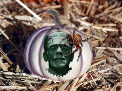 Frankenpumpkin.jpg
