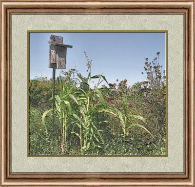 Corn and Bird House