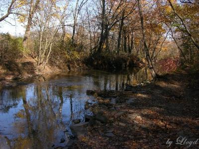 Along the Pike 028a.jpg