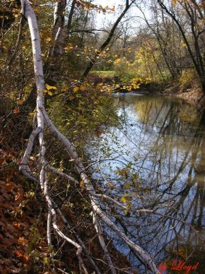 Along the Pike 038a.jpg
