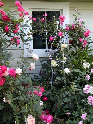 Garage window