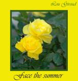 Face the summer - June 01-04