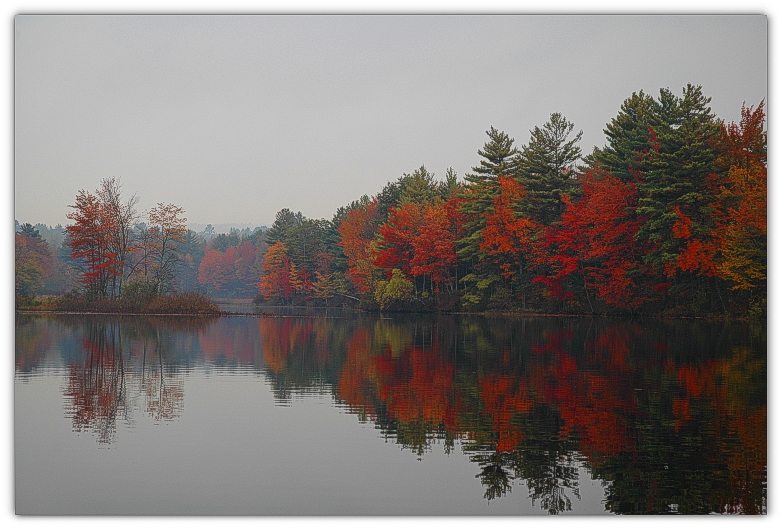 DSC_0745a.JPG