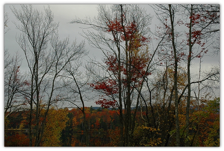DSC_1555a.JPG