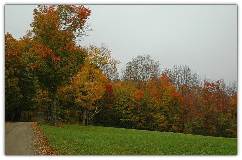 DSC_1583a.JPG