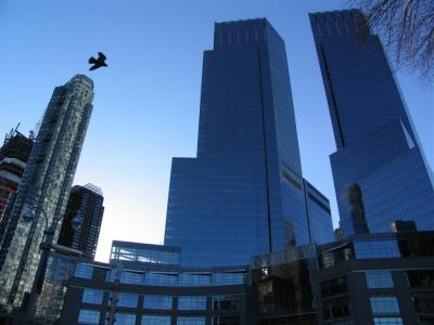 IMG_0950 (Large).JPG