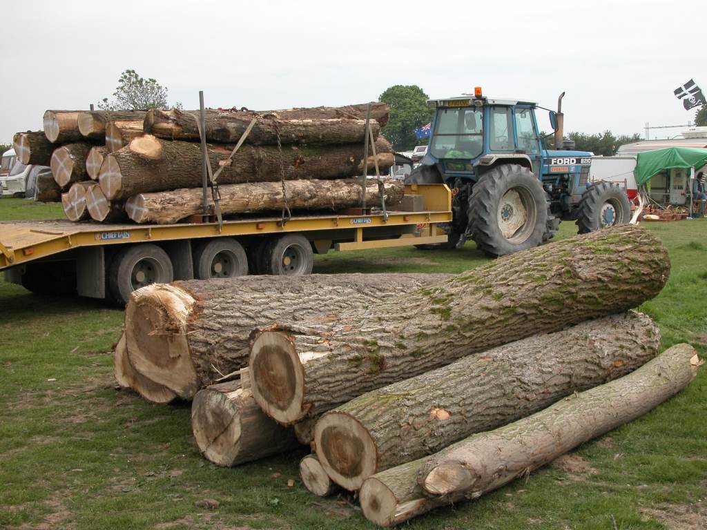 DSCN9015.jpg
