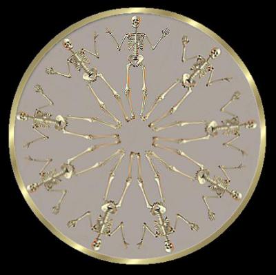 u46/luegg/medium/29914711.skeletonsmandala.jpg
