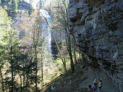 Fall Creek Falls from the trail
