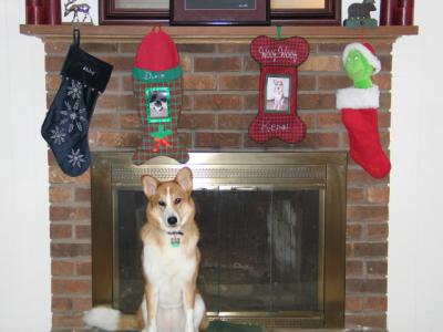 Kenai good pose with stockings 2003