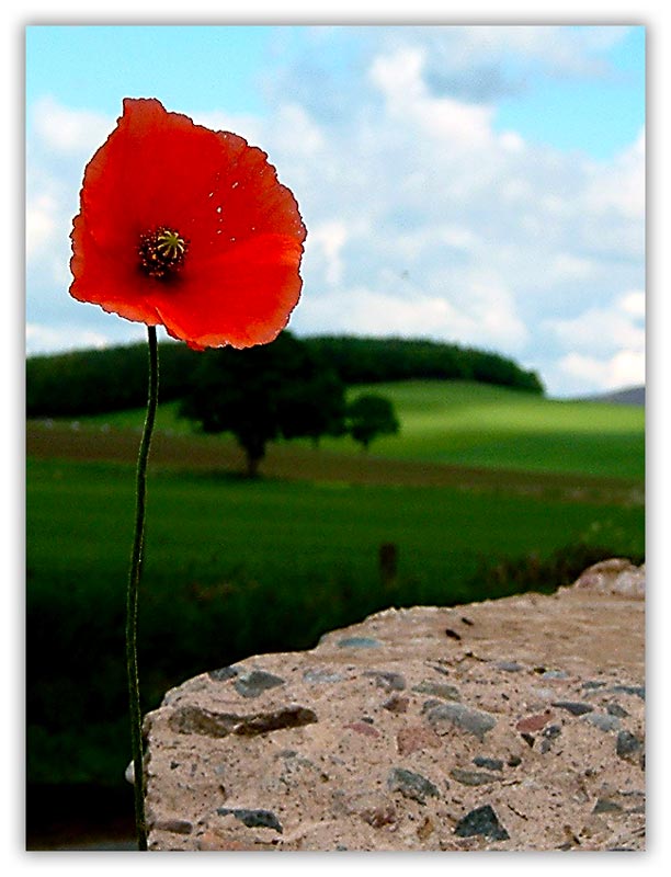 D-Day minus 3