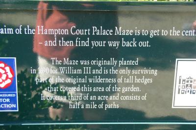 Hampton Ct - maze.jpg