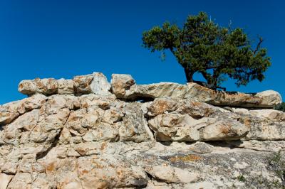 Rocks and trees #2
