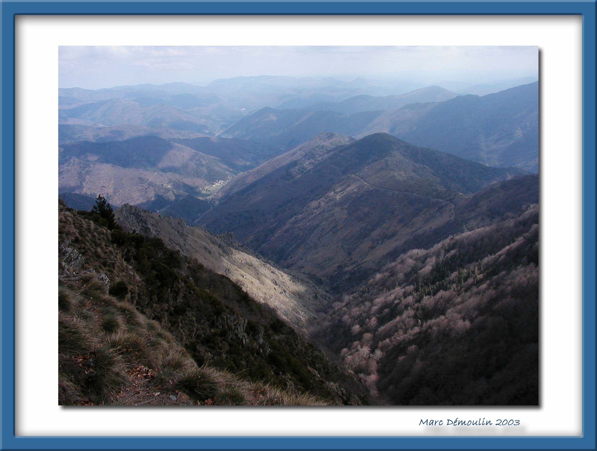 Mont Aigoual