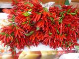 hot chillies