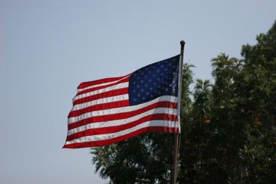 IMG_0015{Q}.jpg