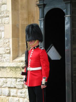 Tower guard