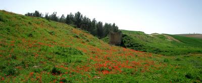 Ottoman bridge Pura reserve - Near Kama Junction-1.jpg