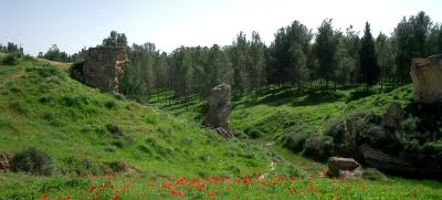 Ottoman bridge Pura reserve - Near Kama Junction.jpg