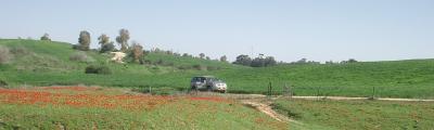 Ruhama cleftlands view.jpg