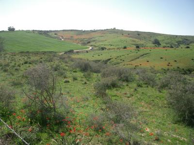 Ruhama cleftlands.jpg