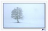Snow scene