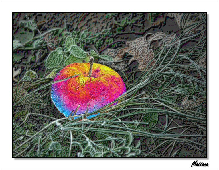 Fallen Apple III