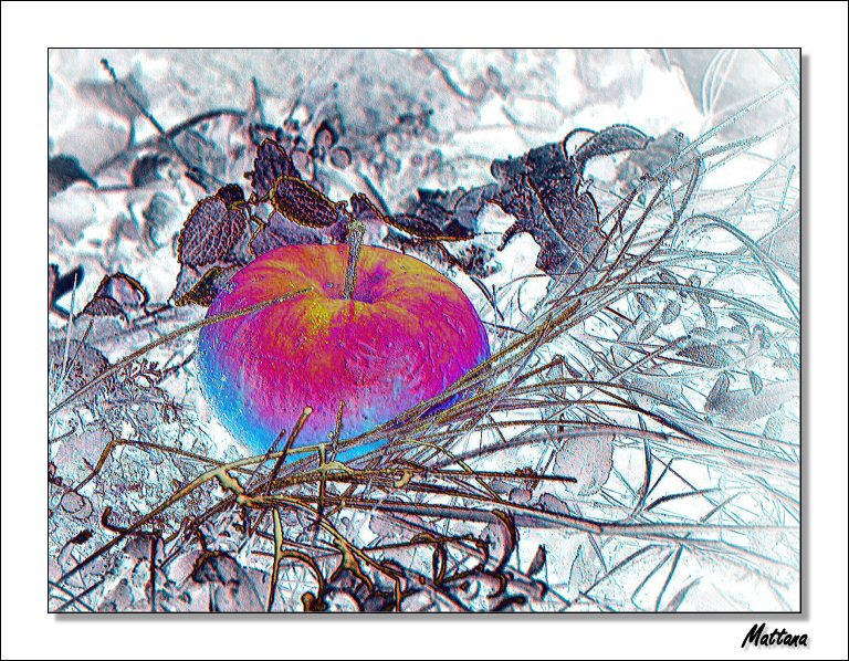 Fallen Apple IV