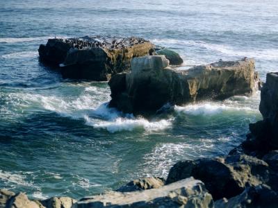 West Cliff Waves