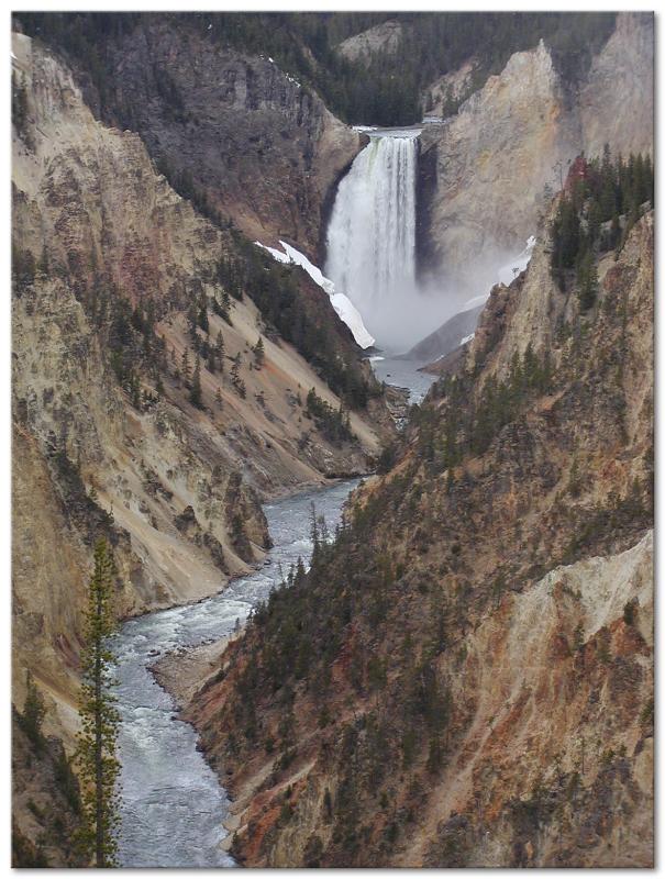 Lower Falls Of The Yellowstone River 308' And The Grand Canyon Of Yellowstone
