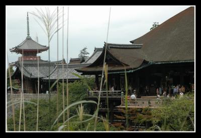 u46/mdaveau/medium/33881587.Kyoto11.jpg