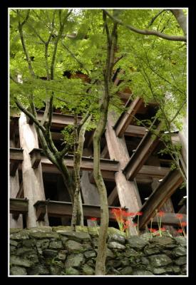 u46/mdaveau/medium/33881588.Kyoto12.jpg
