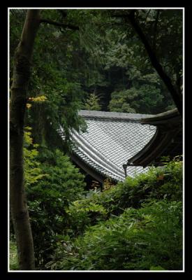 u46/mdaveau/medium/33881591.Kyoto15.jpg