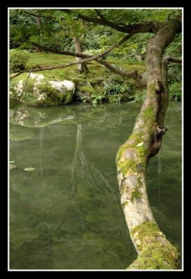 u46/mdaveau/medium/33881592.Kyoto16.jpg