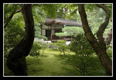 u46/mdaveau/medium/33881600.Kyoto24.jpg