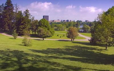 Arboretum Cityscape1